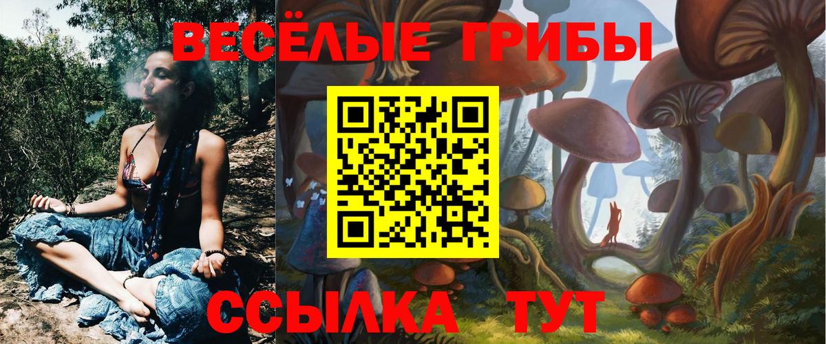 Екатеринбург  Галлюциногенные грибы GOLDEN TEACHER  Галлюциногенные грибы Psilocybine cubensis  Вход с VPN 